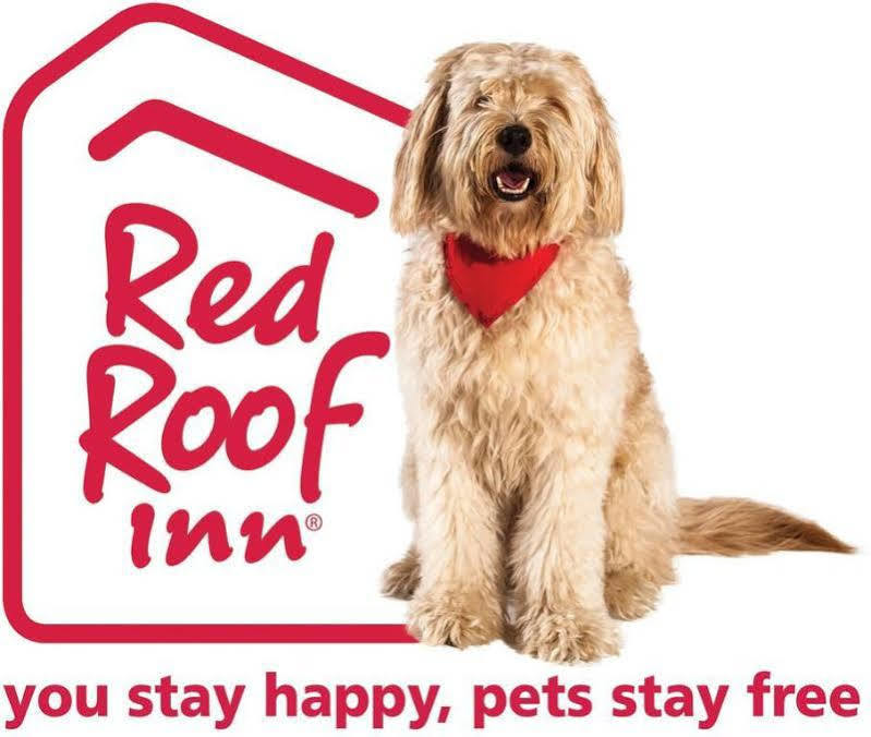 Red Roof Inn Акрон Екстер'єр фото